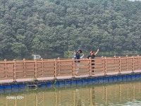 25/10/02/목욜[경북]칠곡군,한티가는길3~4구간.. - ●한티가는길PHOTO - 부산해송산악회(BHT) 25/10/02/목욜[경북]칠곡군,한티가는길3~4구간..