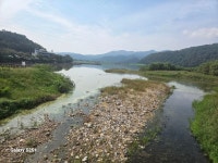 25/10/02/목욜[경북]칠곡군,한티가는길3~4구간.. - ●한티가는길PHOTO - 부산해송산악회(BHT) 25/10/02/목욜[경북]칠곡군,한티가는길3~4구간..