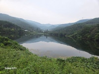 25/10/02/목욜[경북]칠곡군,한티가는길3~4구간.. - ●한티가는길PHOTO - 부산해송산악회(BHT) 25/10/02/목욜[경북]칠곡군,한티가는길3~4구간..