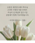 📢 부제서품식 현수막 게시 안내 - 공지사항 - 천주교 서귀포성당 📢 부제서품식 현수막 게시 안내