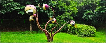 DMZ 평화의길 25-26코스 - 산행과여행 - 논골식당,민박 DMZ 평화의길 25-26코스