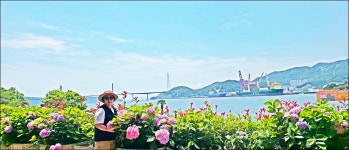 남파랑길9-10-11-12코스(황금돼지섬) - 산행과여행 - 논골식당,민박 남파랑길9-10-11-12코스(황금돼지섬)