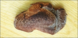 2024..7.25-8.16까지 활동내용 - 논골농장 - 논골식당,민박 2024..7.25-8.16까지 활동내용