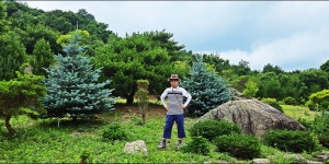 DMZ 평화의길 27-28코스 - 산행과여행 - 논골식당,민박 DMZ 평화의길 27-28코스