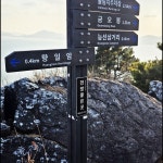돌산도 종주(봉황산) - 산행과여행 - 논골식당,민박 돌산도 종주(봉황산)