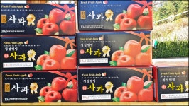 2023.11.7부터-11.27까지 활동내용 - 논골농장 - 논골식당,민박 2023.11.7부터-11.27까지 활동내용