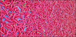 2024..7.25-8.16까지 활동내용 - 논골농장 - 논골식당,민박 2024..7.25-8.16까지 활동내용