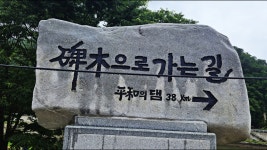 DMZ 평화의길 22-23코스 - 산행과여행 - 논골식당,민박 DMZ 평화의길 22-23코스
