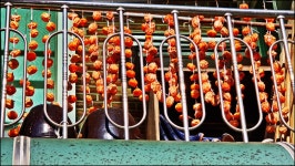 2023.11.7부터-11.27까지 활동내용 - 논골농장 - 논골식당,민박 2023.11.7부터-11.27까지 활동내용