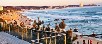 해돋이 - 자유게시판 - 논골식당,민박 해돋이