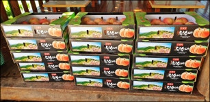 2024..7.25-8.16까지 활동내용 - 논골농장 - 논골식당,민박 2024..7.25-8.16까지 활동내용