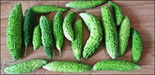 2024..7.25-8.16까지 활동내용 - 논골농장 - 논골식당,민박 2024..7.25-8.16까지 활동내용