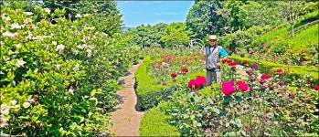 남파랑길9-10-11-12코스(황금돼지섬) - 산행과여행 - 논골식당,민박 남파랑길9-10-11-12코스(황금돼지섬)