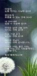복수초 - 전국풍경 - 충남 금산 다복농장 복수초