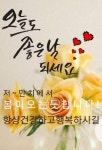 복수초 - 전국풍경 - 충남 금산 다복농장 복수초