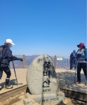 ★ 2026년 03월 ＜전남 광양시 쫓비산＞제220차 정기산행(매화축제) 공지 ★ - 정기산행 신청 - 포항 7080산악회 포항 7080산악회