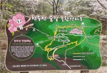 ★ 2026년 04월 ＜경남 창원시 천주산＞제221차 정기산행 공지 ★ - 정기산행 신청 - 포항 7080산악회 포항 7080산악회