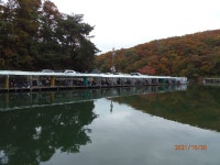 붕어들이 가을을 즐깁니다. - 즐거운 낚시장 - 화도낚시공원 꺽대채비 붕어들이 가을을 즐깁니다.