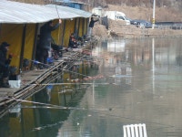 주간기온 영상 10도까지 - 즐거운 낚시장 - 화도낚시공원 꺽대채비 주간기온 영상 10도까지