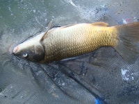 적당한 겨울 옷만 입고 즐깁니다. - 즐거운 낚시장 - 화도낚시공원 적당한 겨울 옷만 입고 즐깁니다.