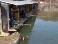 확 피어난 중상류 조황 - 즐거운 낚시장 - 화도낚시공원 확 피어난 중상류 조황