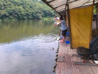 물 속의 변화가 감지됩니다. - 즐거운 낚시장 - 화도낚시공원 물 속의 변화가 감지됩니다.