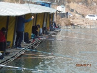 중류부터 급 조황상승 - 즐거운 낚시장 - 화도낚시공원 중류부터 급 조황상승