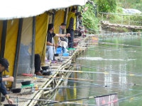 연휴의 즐거움 - 즐거운 낚시장 - 화도낚시공원 꺽대채비 연휴의 즐거움