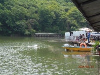 붕어300방류 마지막 겨울꼬리를 비로 - 즐거운 낚시장 - 화도낚시공원 꺽대채비 붕어300방류 마지막 겨울꼬리를 비로