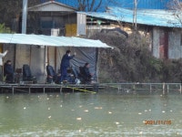 변함 없는 조황입니다. - 즐거운 낚시장 - 화도낚시공원 변함 없는 조황입니다.