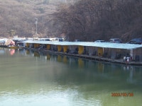 오후의 바램이 바람 맞았습니다. - 즐거운 낚시장 - 화도낚시공원 꺽대채비 오후의 바램이 바람 맞았습니다.