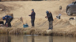 신년 루어 . 플라이 파이팅!!! - 멋진 송어장소식(10월~3월) - 화도낚시공원 신년 루어 . 플라이 파이팅!!!