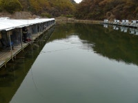 기온 일시적 상승 - 즐거운 낚시장 - 화도낚시공원 꺽대채비 기온 일시적 상승