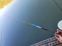 신제품 전자찌 Angel LS620 리뷰 - 빠른 소식/내 조행기 - 화도낚시공원 꺽대채비 신제품 전자찌 Angel LS620 리뷰