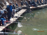 봄이 깊이 파고들었습니다. - 즐거운 낚시장 - 화도낚시공원 봄이 깊이 파고들었습니다.