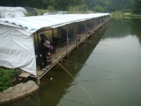 물 소독 실시 - 즐거운 낚시장 - 화도낚시공원 물 소독 실시