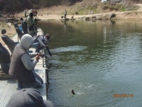 날이 좋아 낚시가 좋아 - 멋진 송어장소식(10월~3월) - 화도낚시공원 날이 좋아 낚시가 좋아