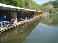 전날 밤부터 찌오름 대박 - 즐거운 낚시장 - 화도낚시공원 꺽대채비 전날 밤부터 찌오름 대박