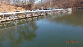 주간 붕어, 야간 늦게 붕어 향어가 나왔습니다. - 즐거운 낚시장 - 화도낚시공원 주간 붕어, 야간 늦게 붕어 향어가 나왔습니다.