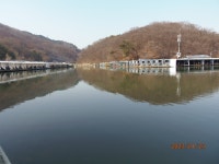 아직은 상류권이 우세합니다. - 즐거운 낚시장 - 화도낚시공원 꺽대채비 아직은 상류권이 우세합니다.