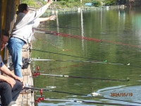 주간 호조황 유지 - 즐거운 낚시장 - 화도낚시공원 꺽대채비 주간 호조황 유지
