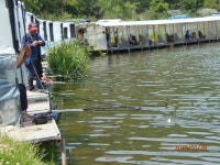다양한 것들이 나오네요. - 즐거운 낚시장 - 화도낚시공원 꺽대채비 다양한 것들이 나오네요.