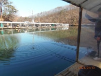 오전 조황 우세 야간 간간히 - 즐거운 낚시장 - 화도낚시공원 꺽대채비 오전 조황 우세 야간 간간히