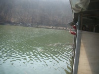 많이 보다는 고른 조황 - 즐거운 낚시장 - 화도낚시공원 많이 보다는 고른 조황