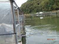 연휴 마지막 날 편안한 시간을 - 즐거운 낚시장 - 화도낚시공원 꺽대채비 연휴 마지막 날 편안한 시간을