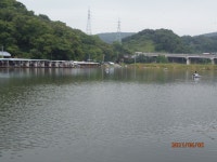 조황이 조금 불안정합니다. - 즐거운 낚시장 - 화도낚시공원 꺽대채비 조황이 조금 불안정합니다.