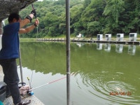 제 자리로 돌아왔습니다. - 즐거운 낚시장 - 화도낚시공원 제 자리로 돌아왔습니다.