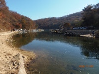 13도의 쾌속질주 - 멋진 송어장소식(10월~4월) - 화도낚시공원 13도의 쾌속질주