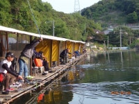 앉는 곳이 명당입니다. - 즐거운 낚시장 - 화도낚시공원 꺽대채비 앉는 곳이 명당입니다.