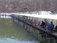 주간 영상 9.5도로 갑자기 봄의 느낌 - 즐거운 낚시장 - 화도낚시공원 주간 영상 9.5도로 갑자기 봄의 느낌